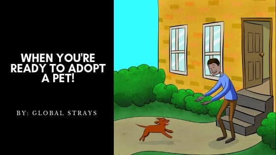 When You’re Ready To Adopt a Pet!