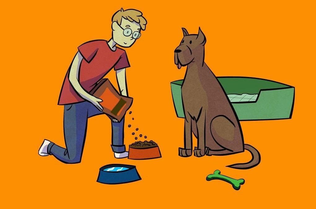 Your Pet’s Basic Necessities | Las necesidades básicas de tu mascota