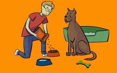Your Pet’s Basic Necessities | Las necesidades básicas de tu mascota