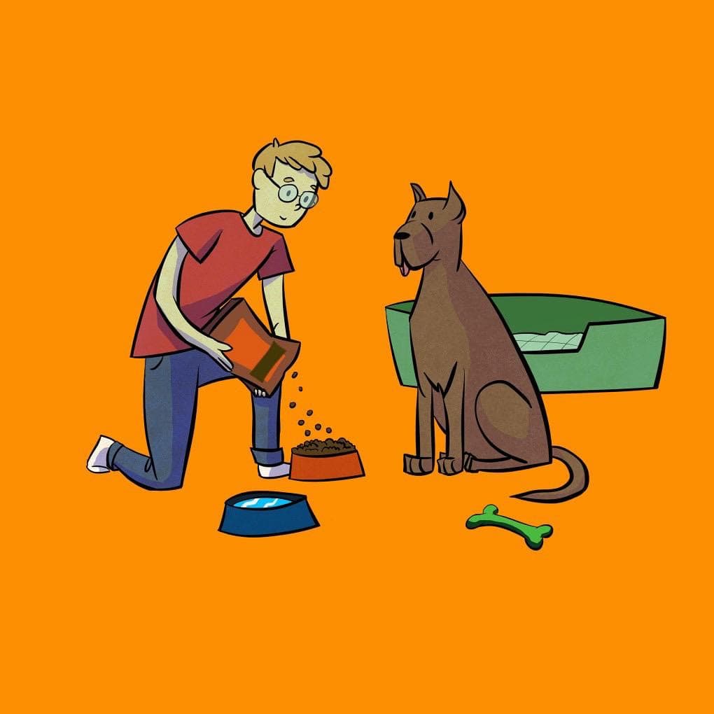 Your Pet's Basic Necessities Las necesidades básicas de tu mascota