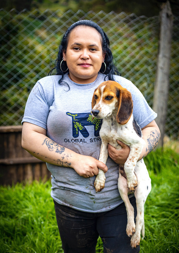 global-strays-kathe-mabia2