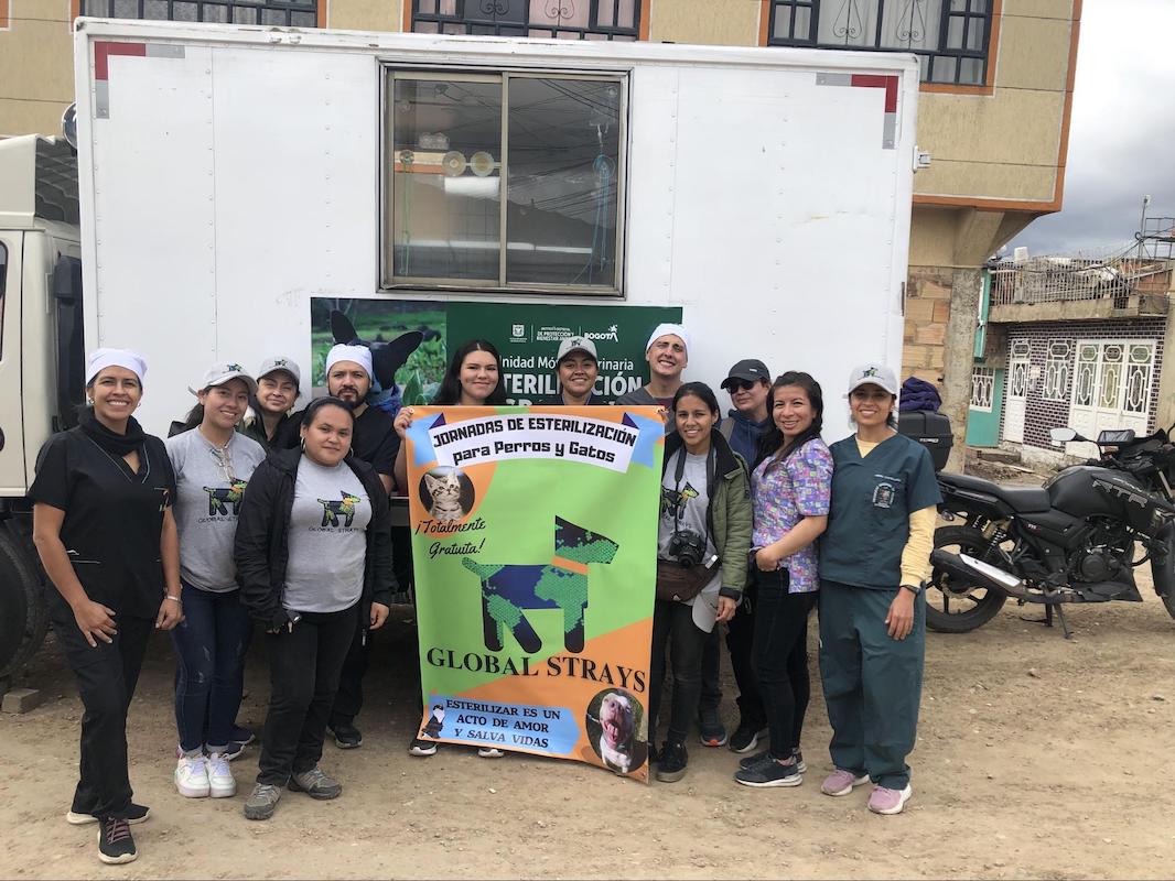 global-strays-spay-neuter-program-2