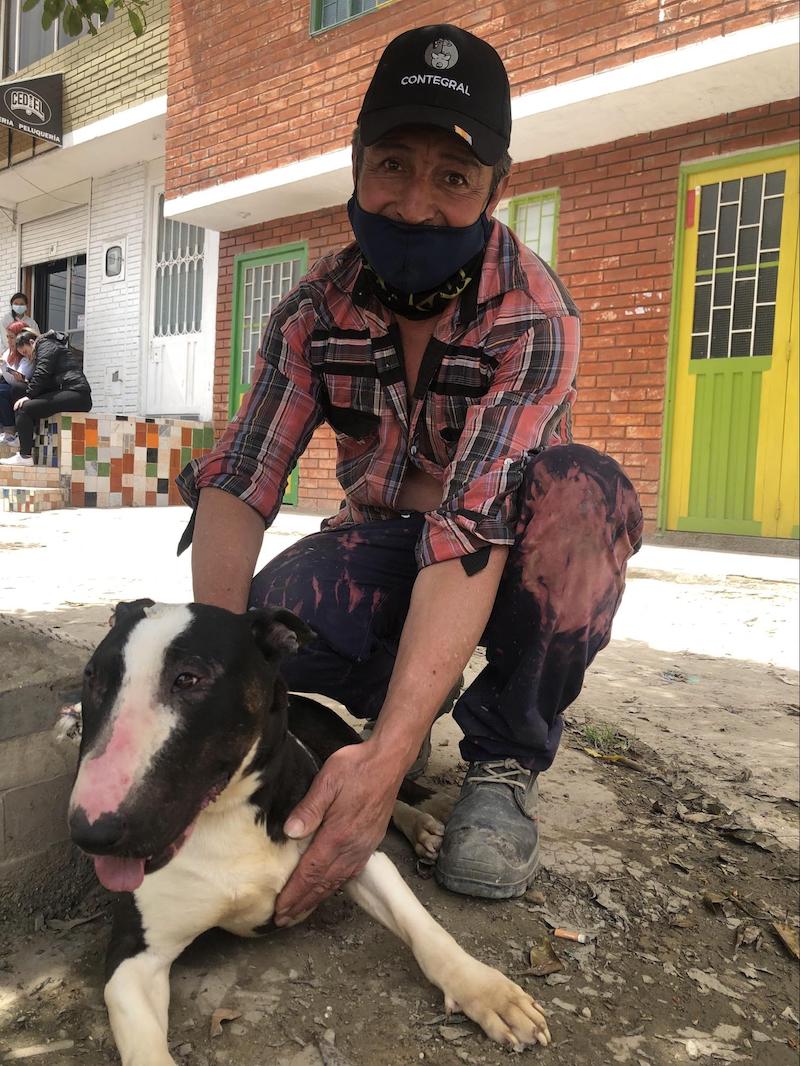 global-strays-spay-neuter-program-3