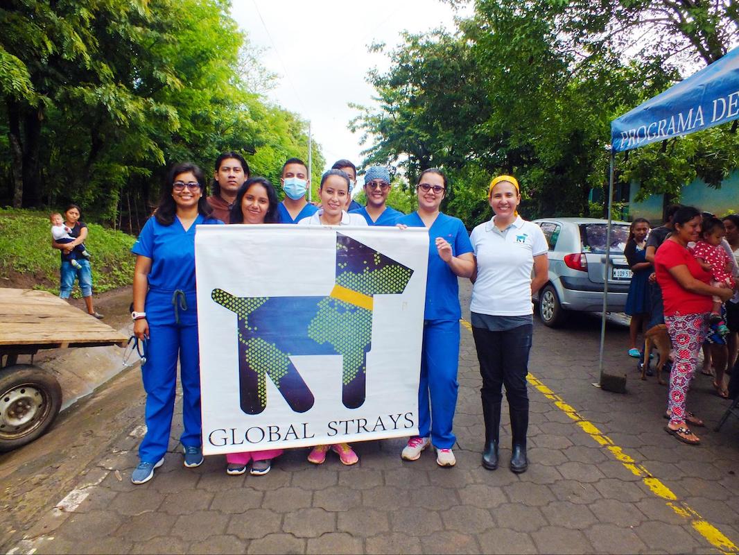 global-strays-spay-neuter-program-4