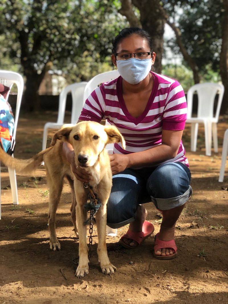 global-strays-spay-neuter-program-5