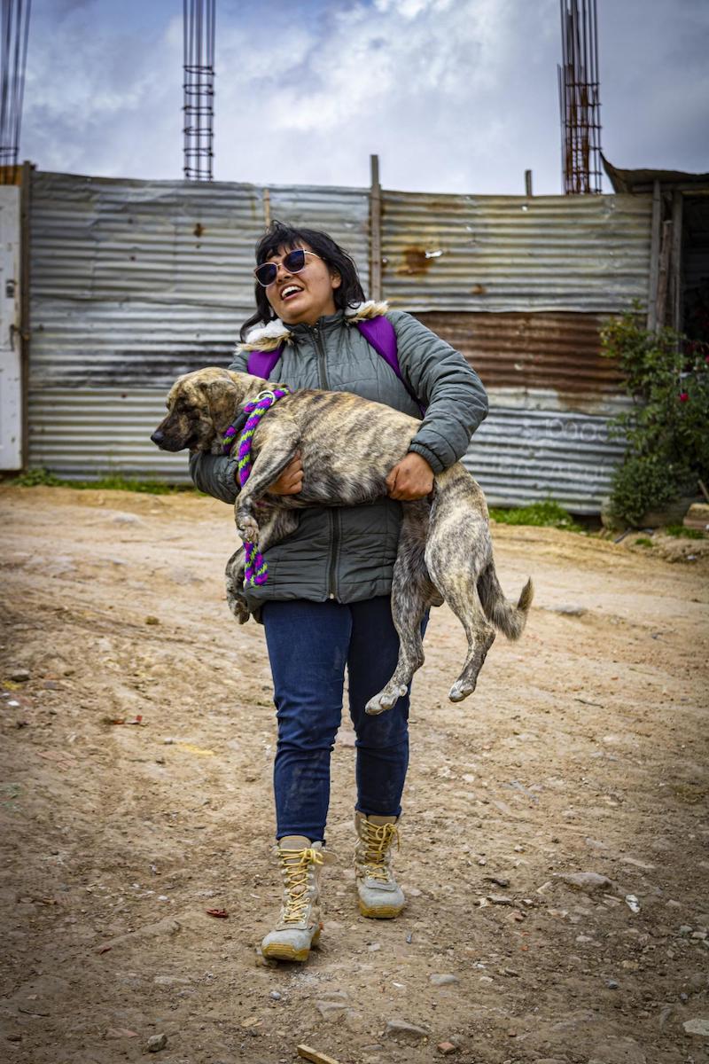global-strays-spay-neuter-program-6