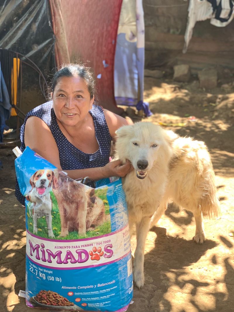 global-strays-spay-neuter-program-7