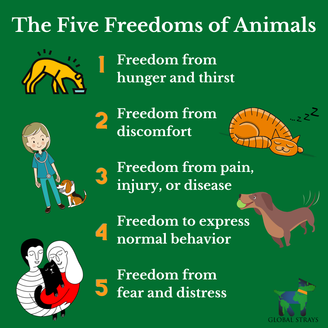 5 Freedoms (1)
