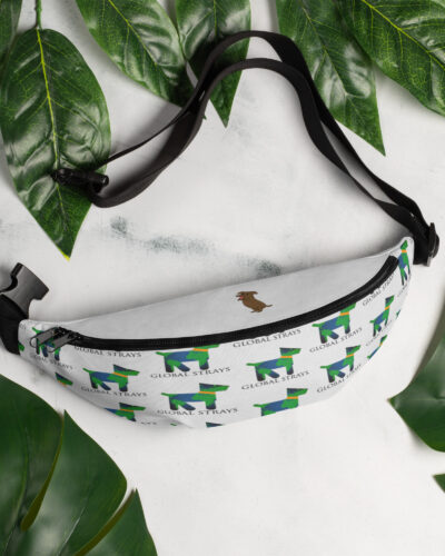Fanny Pack Global Strays!