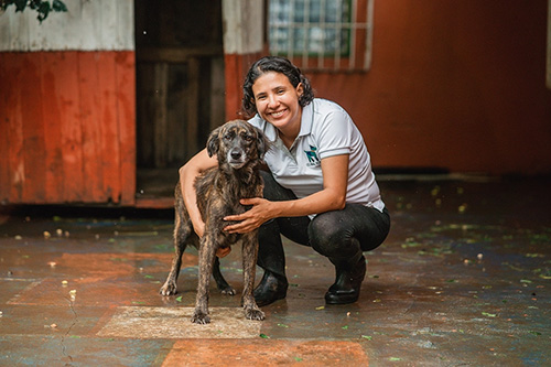 Global Strays animal shelter employee Elisa holding a dog.