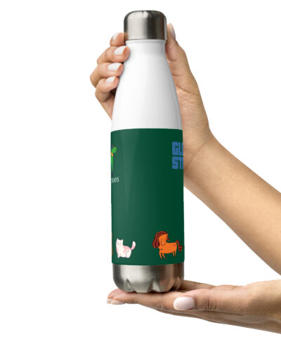 Colorful Stainless Steel Water Bottle