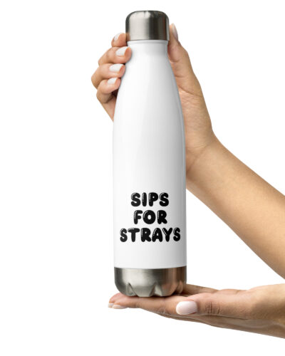 Stainless Steel Water Bottle