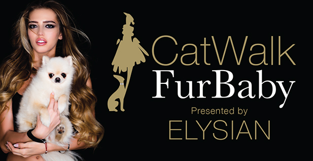 Cat Walk Fur Baby by Elysian banner.