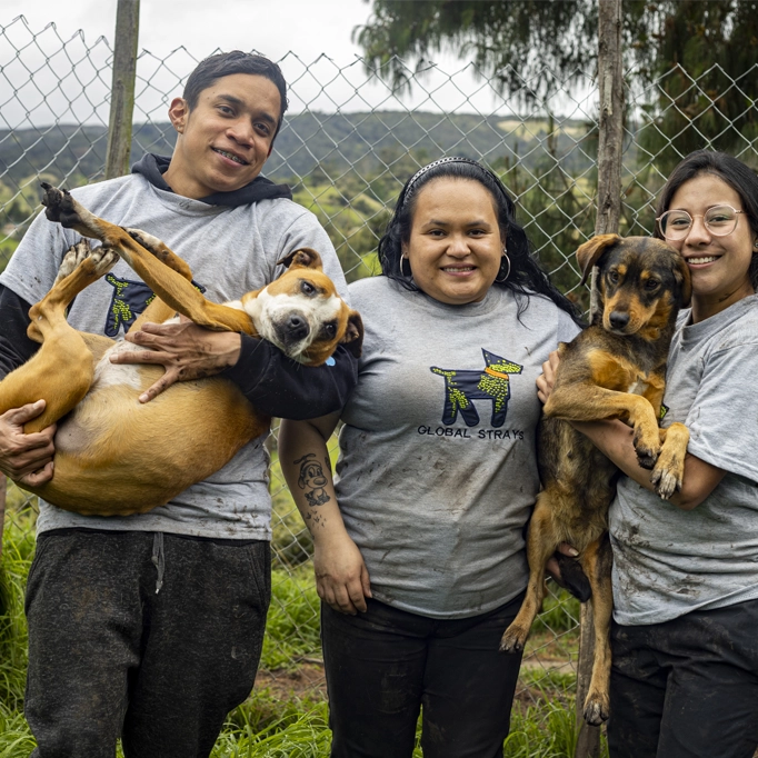 Global Strays Global Strays workers Kathe, Maria and Francisco holding dogs.
