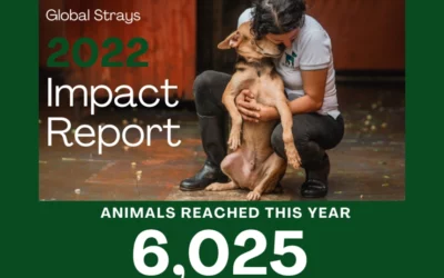 Impact Numbers 2022