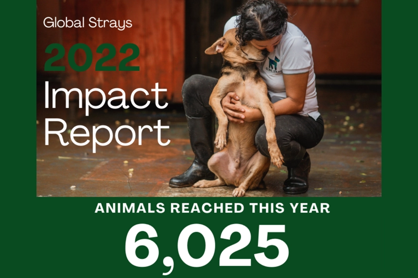 Impact Numbers 2022