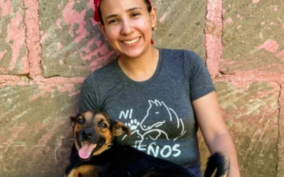 Spotlight on Elisa