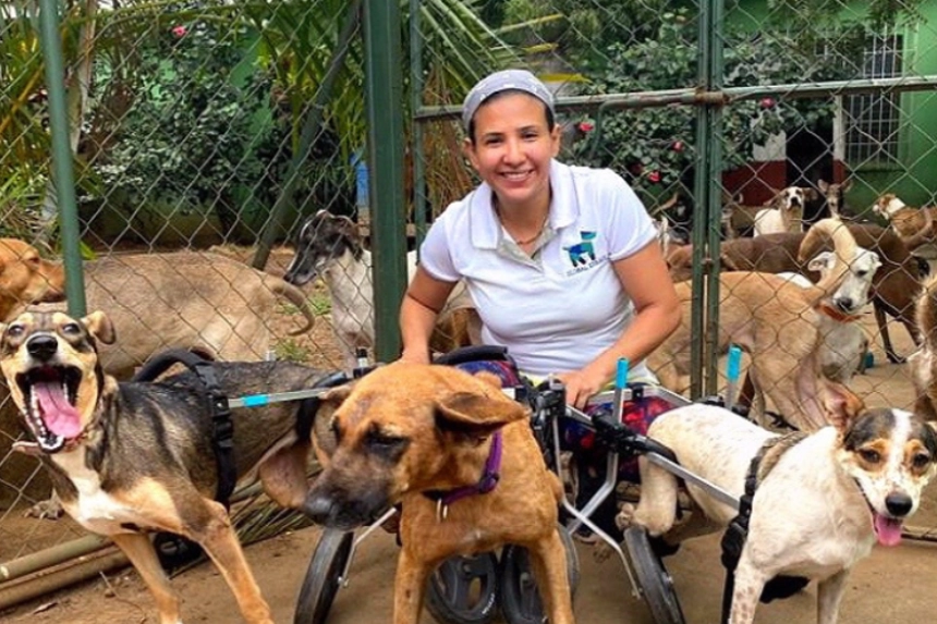 Dogs on Wheels