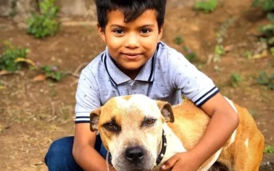 Urgent: Pet Food Pantry Program Needs Your Help