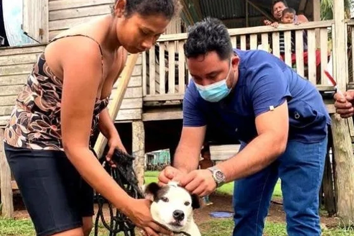 9 veterinarians, 3000 animals