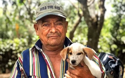 Meet Lionzo Cerda & Osito