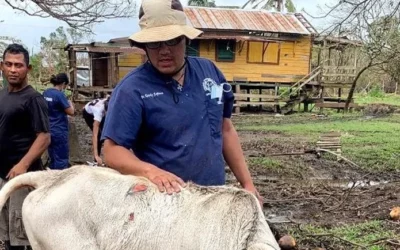 Carlos, his calf, & a community