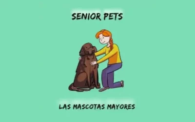 Senior Pet Week At Global Strays