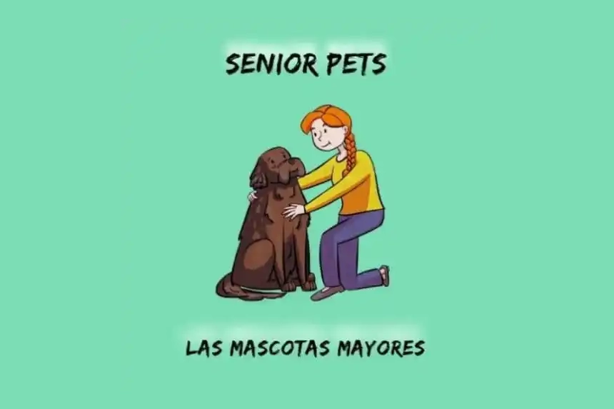 Senior Pet Week At Global Strays