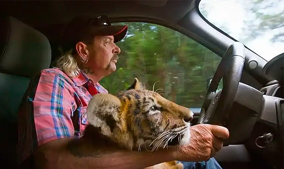 The Problem With Tiger King