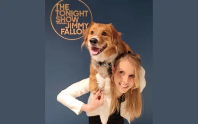 Pets For Mental Wellbeing Month 2023 – Weekly Recap #4