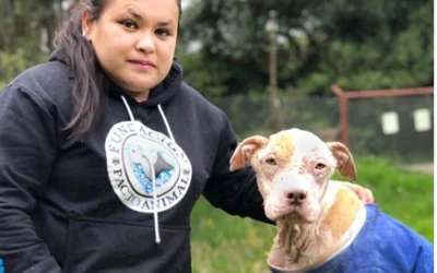 Meet our Rescuer Extraordinaire, Kathe Rivera