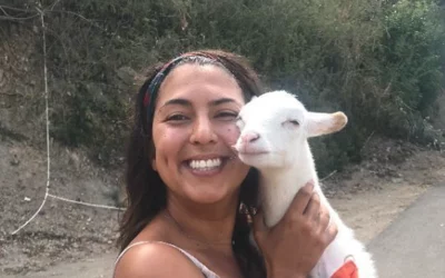 Meet the new Global Strays team!