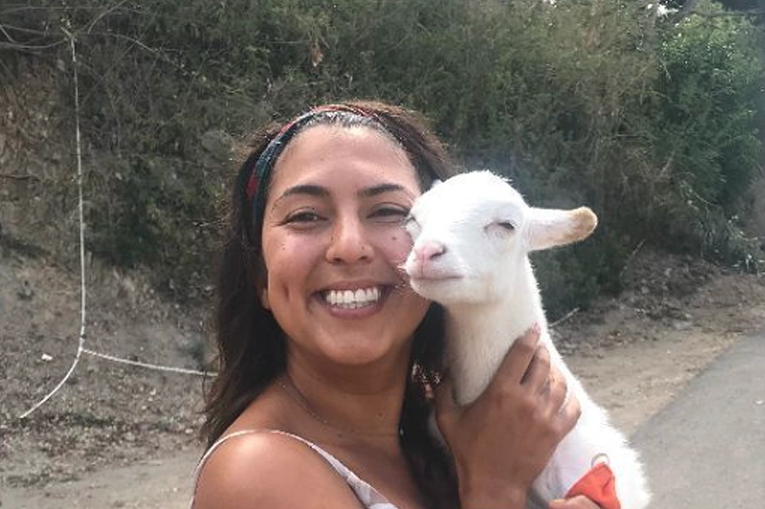 Meet the new Global Strays team!