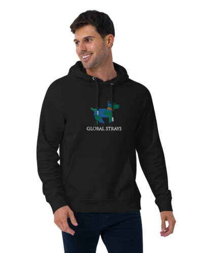 Unisex SOFT eco raglan hoodie (Embroidered Logo!)