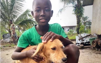Lessons Learned in Liberia