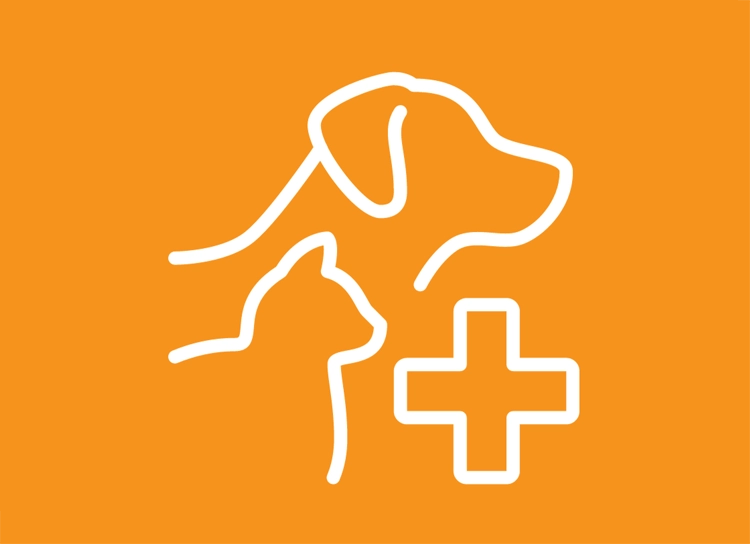 Dog and cat veterinary care icon.