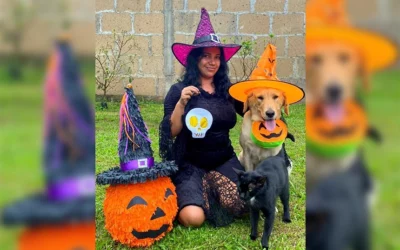 Happy Halloween from Global Strays!
