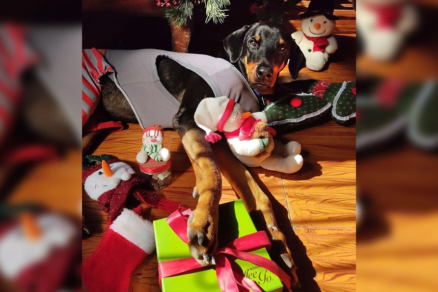 Happy Holidays 2023