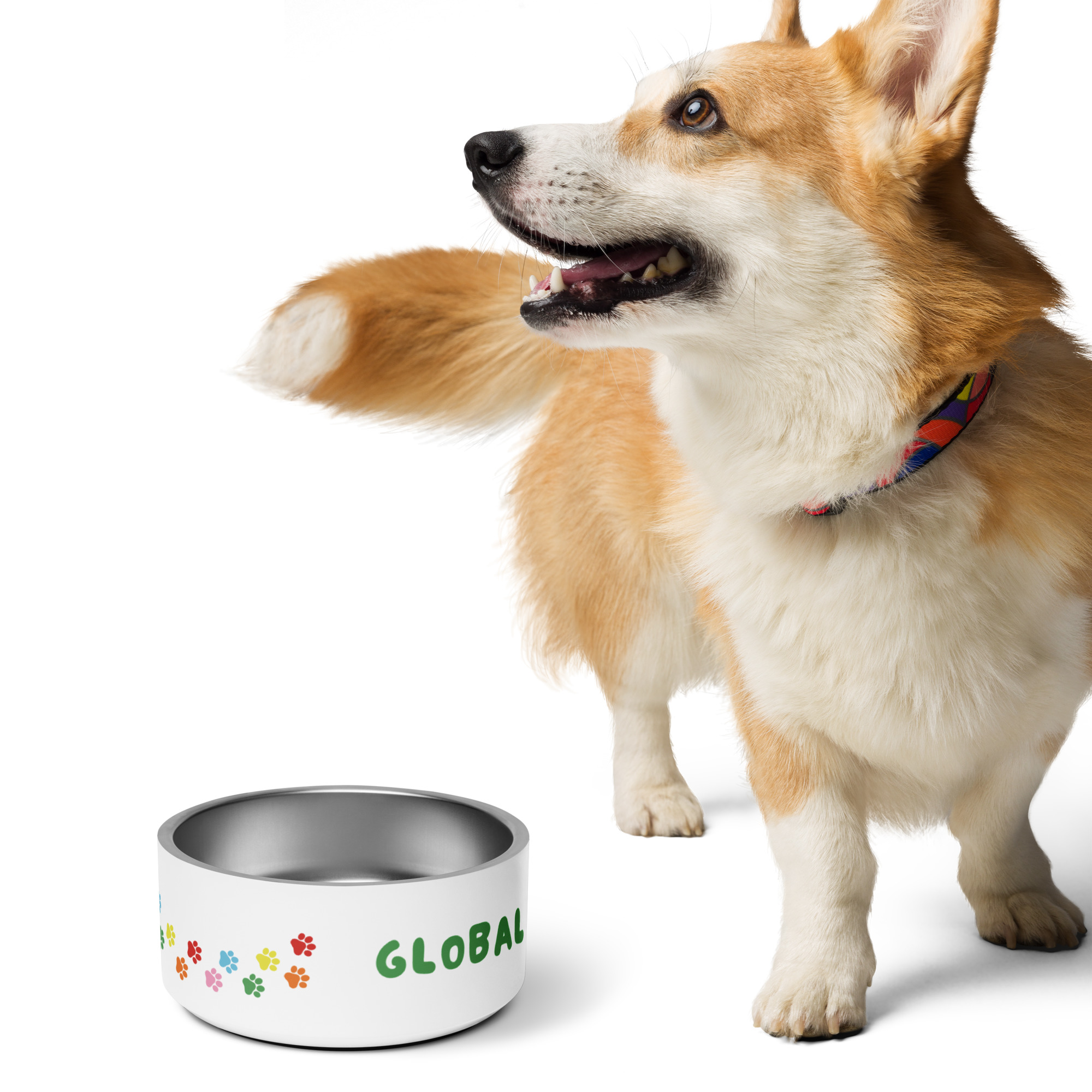 Pride Pet Bowl (18 and 32 ounces) - Image 3