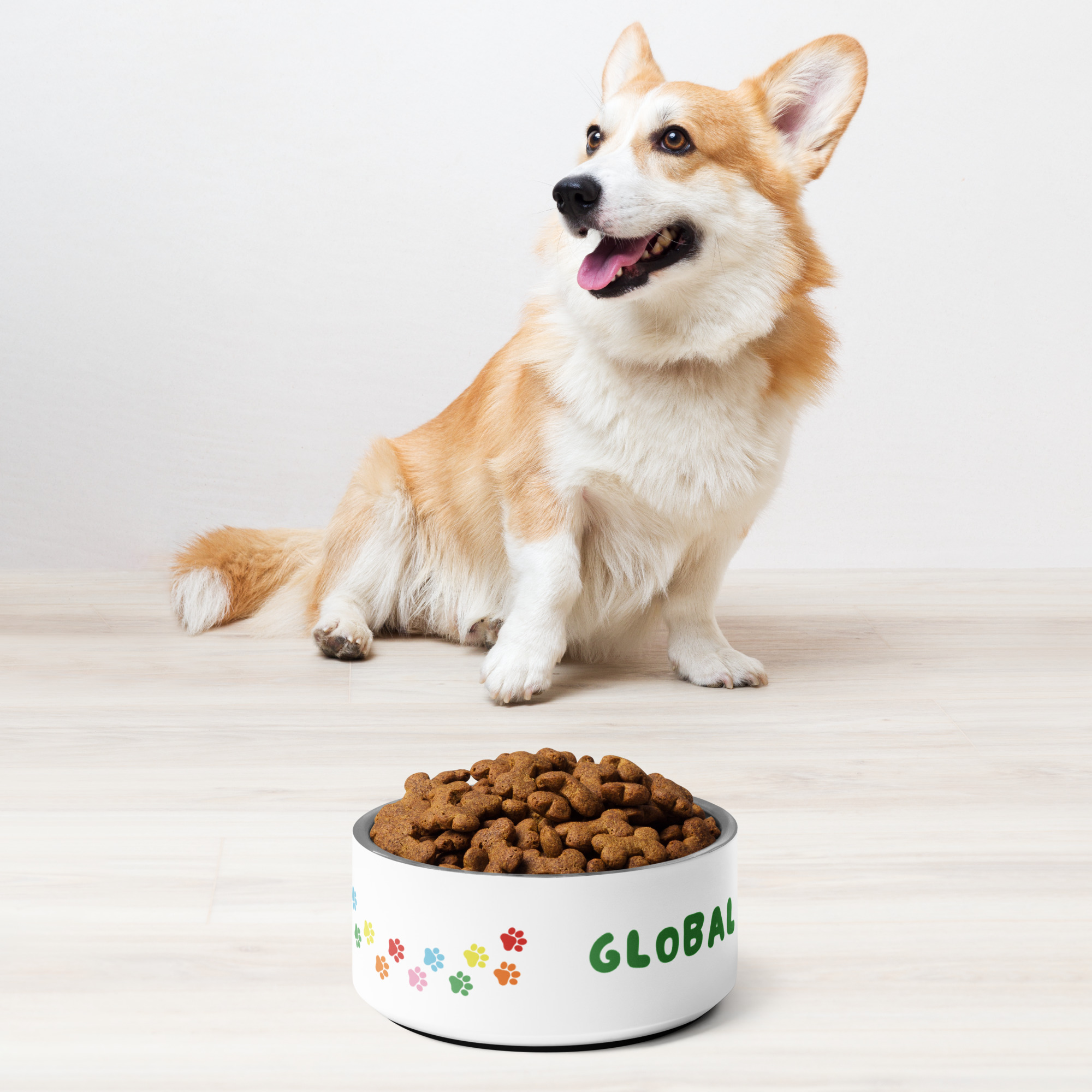 Pride Pet Bowl (18 and 32 ounces) - Image 4