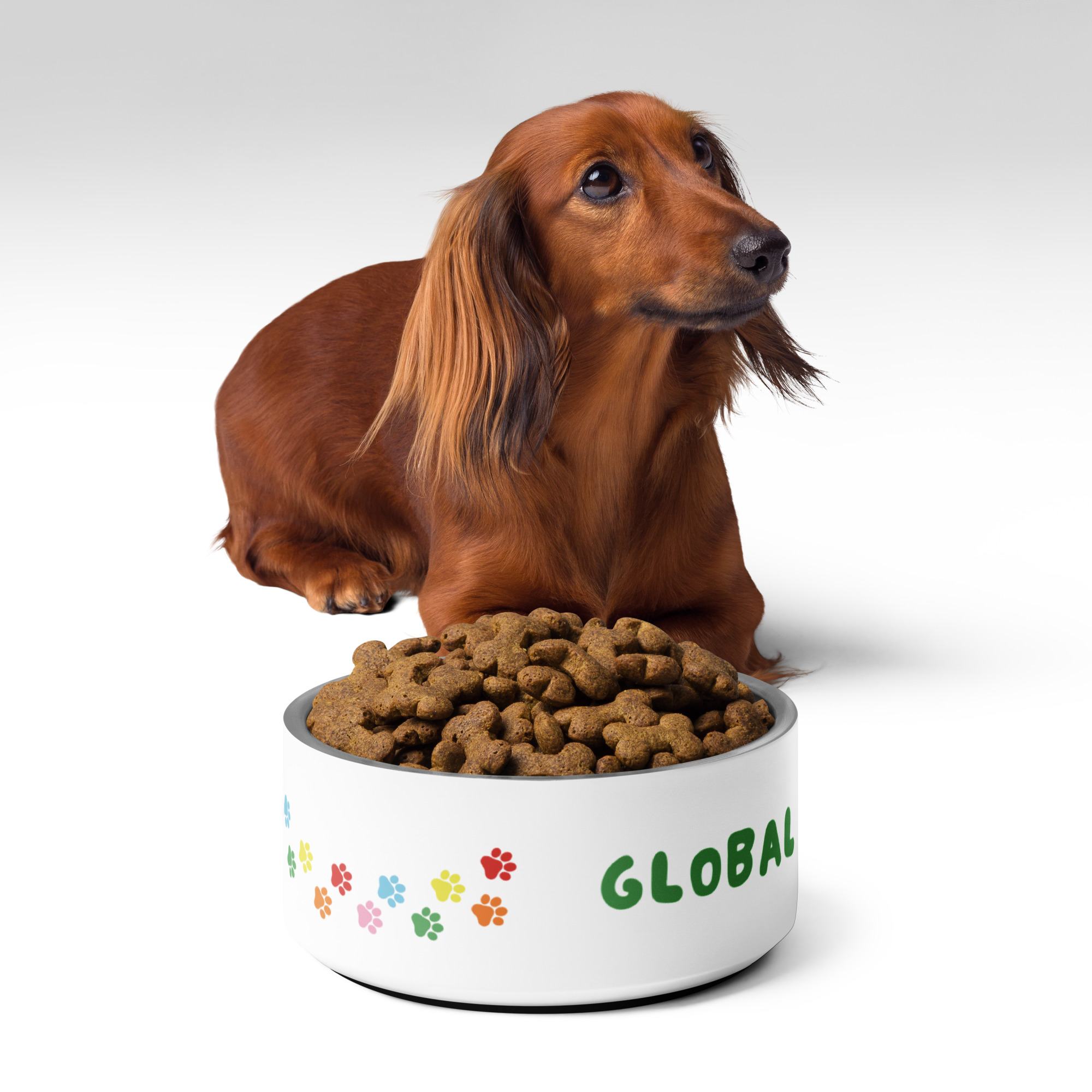 Pride Pet Bowl (18 and 32 ounces) - Image 5