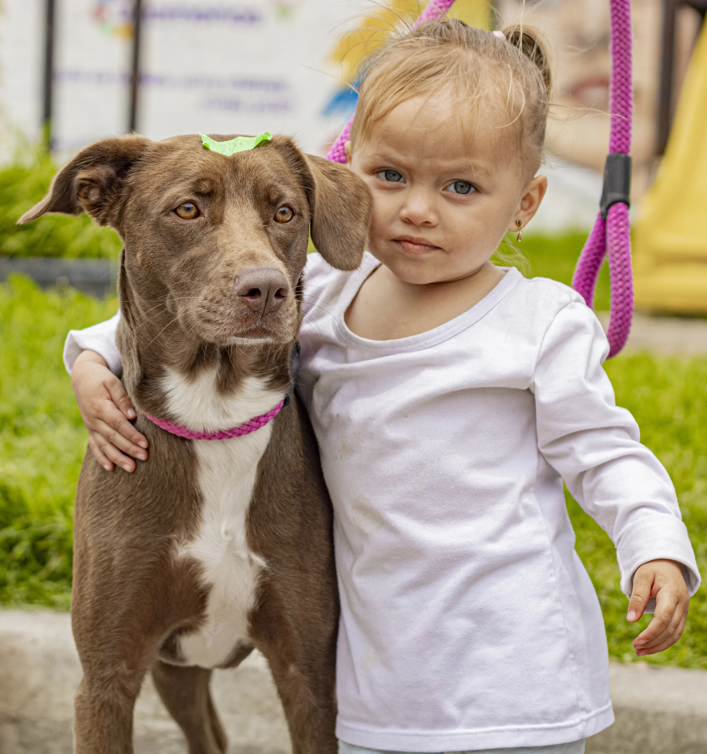 Little girl and her dog at Global Stray's spay/neuter clinic in Colombia