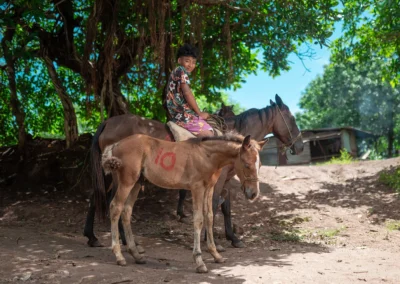 Working horse in Nicaragua.