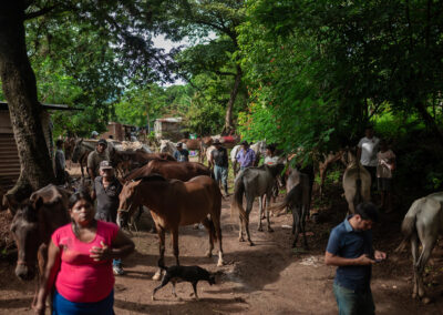 Working horse in Nicaragua.