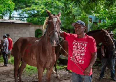 Working horse in Nicaragua.