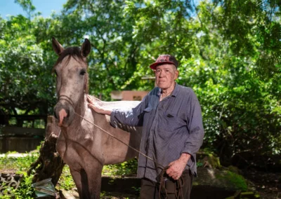 Working horse in Nicaragua.