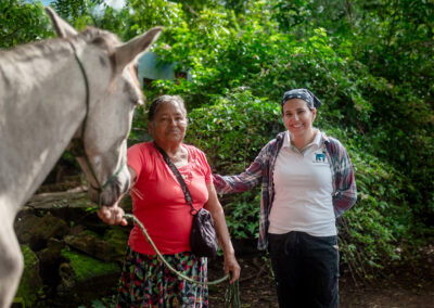 Working horse in Nicaragua.