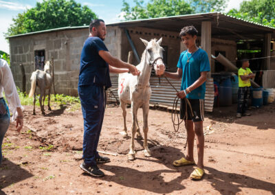 Working horse in Nicaragua.