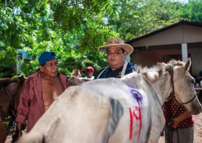 Working horse in Nicaragua.