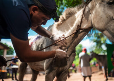 Working horse in Nicaragua.